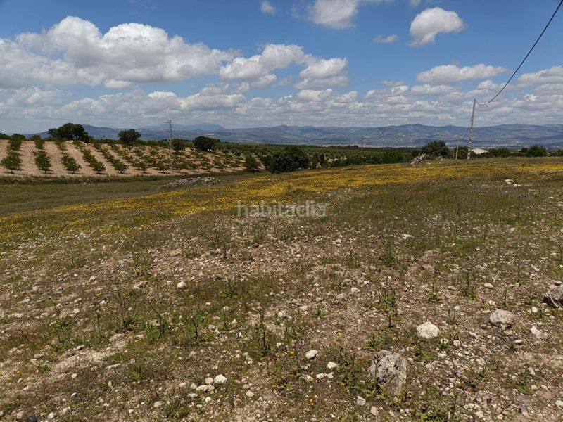 Foto 310692b0-03b0-4d99-b028-d7bbbc77e244. Masia a Salar