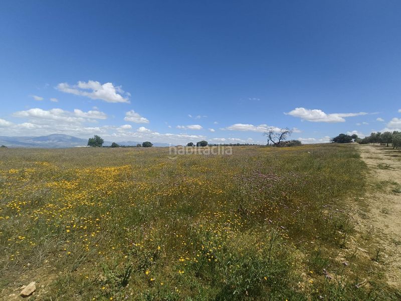 Foto 3b3552bb-5ac4-4f56-9402-a145f7119dbd. Masia a Salar