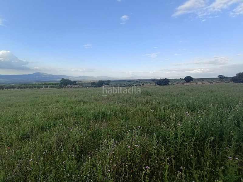 Foto aab2e78a-76c3-4c9e-b12b-75c4a967841d. Masia a Salar