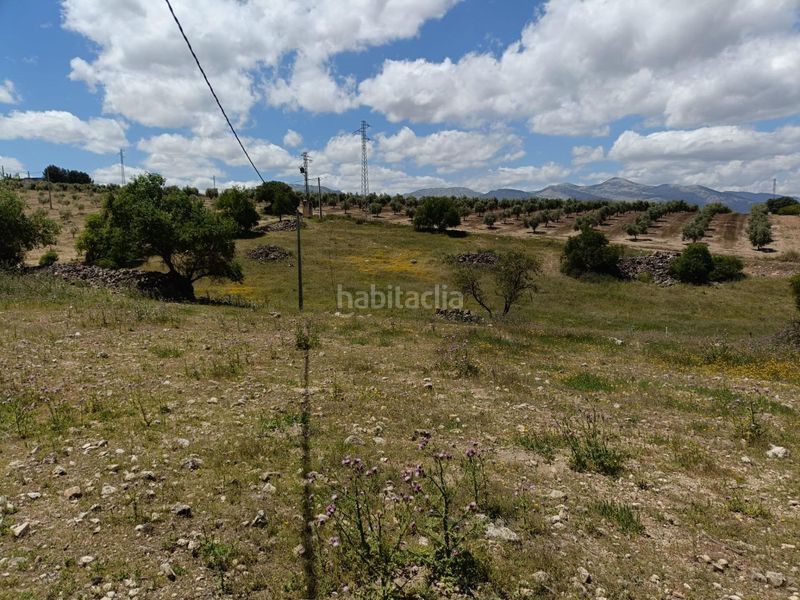 Foto c55c04c5-054d-4deb-a504-7f4697d072e0. Masia a Salar