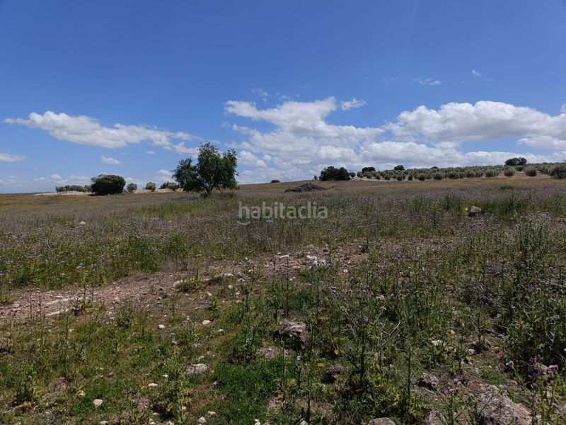 Foto e3a09f25-c29e-4685-ad2c-e964a55da028. Masia a Salar