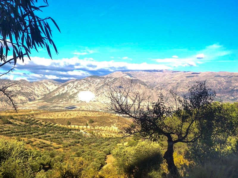 Foto a828c49d-c4f7-4601-ad19-9ae1ef8ec697. Finca rústica a Villamena