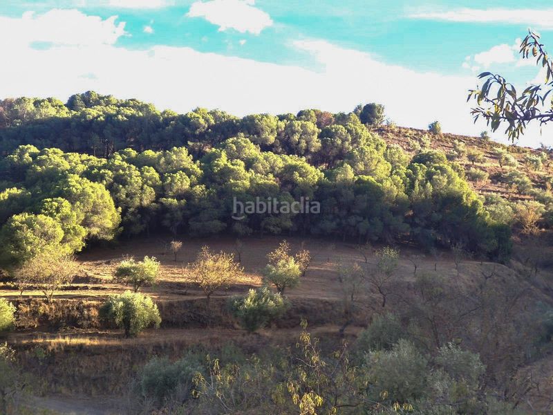 Foto cb2e45bb-43e7-4f49-8974-92aedb9f30f0. Finca rústica a Villamena
