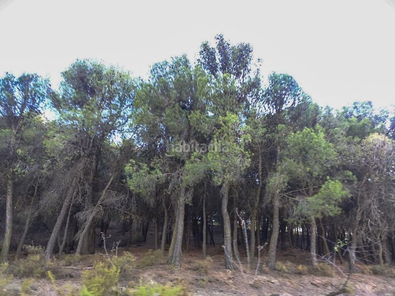 Foto e9a0f95b-139d-4fb9-a3a4-70be488fa415. Finca rústica a Villamena