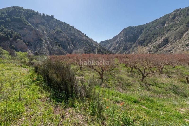 Foto 0cf35369-4567-43b5-8a19-f32b7de713d8. Finca rústica a Villamena