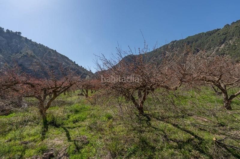 Foto 33e5fa59-fed9-4ed8-8532-bae3b64b07a6. Finca rústica a Villamena