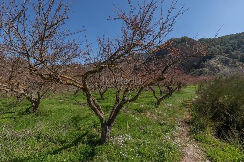 Foto 40c94cee-83e7-4375-bea1-cd3e95b37918. Finca rústica a Villamena