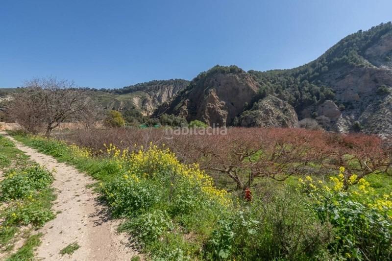 Foto 46c8d19c-a0af-4ab6-aad0-93e8798d55ef. Finca rústica a Villamena