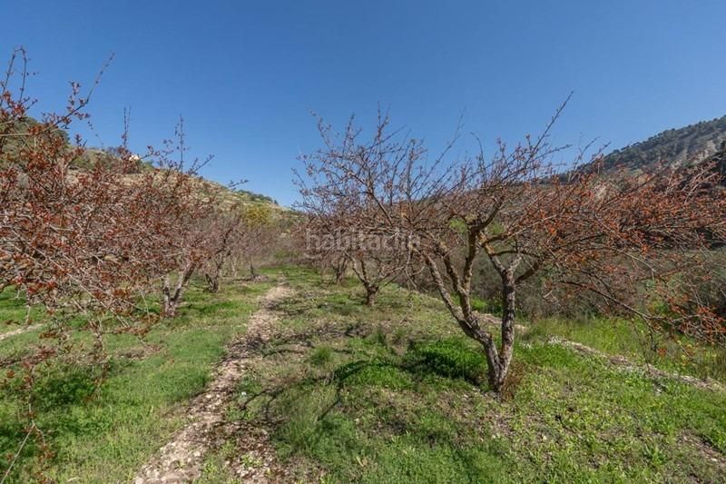 Foto 46f6625b-b12f-46f6-9db9-9734d5d1a85e. Finca rústica a Villamena