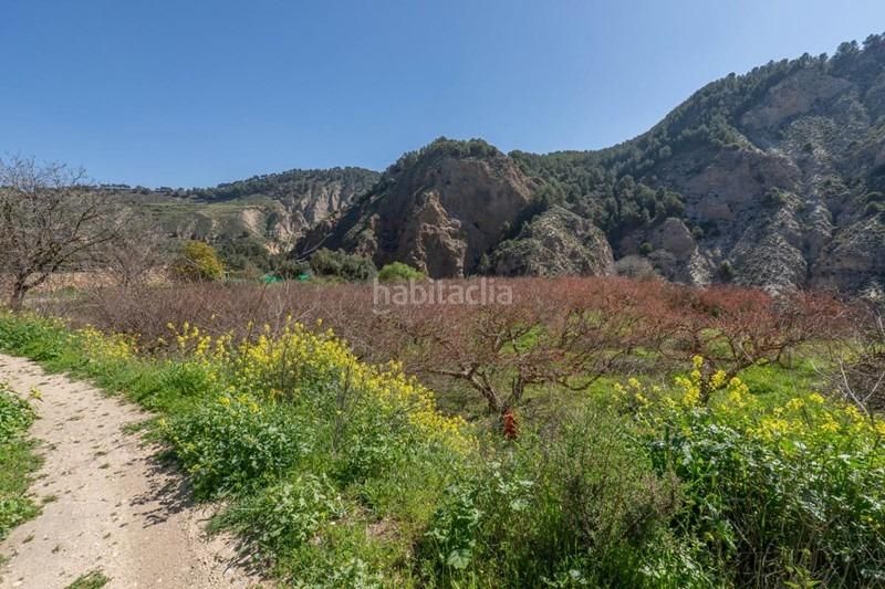 Foto a28e150f-190d-47fd-a5df-65d0d957f20f. Finca rústica a Villamena