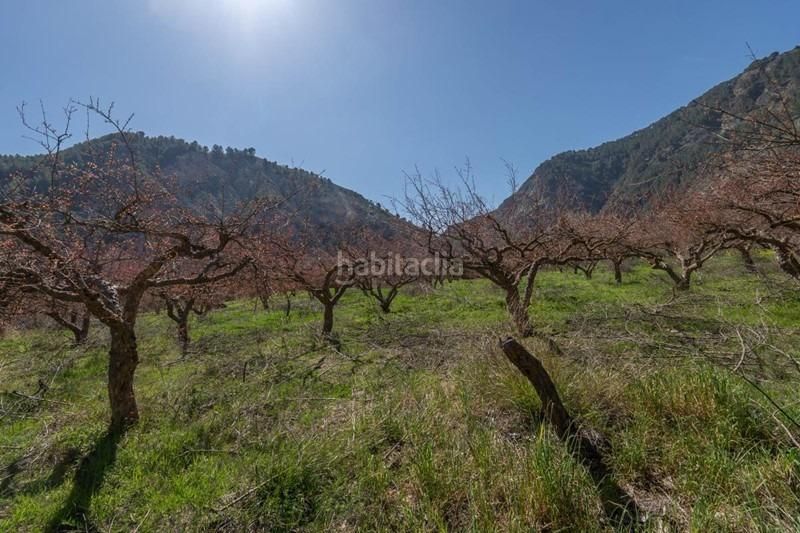 Foto c895f5cf-e486-49e2-b37a-f481d08945ad. Finca rústica a Villamena