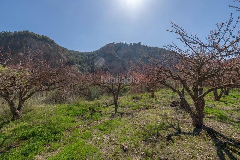 Foto cfbaef4c-04ef-4a9a-97f6-7418f97204a1. Finca rústica a Villamena