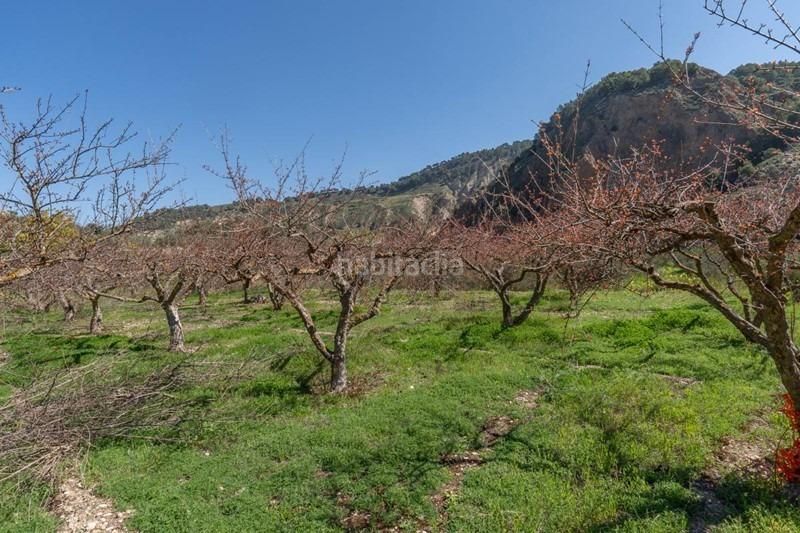 Foto d294c966-dd8b-4639-99d9-43c83e6fbe94. Finca rústica a Villamena