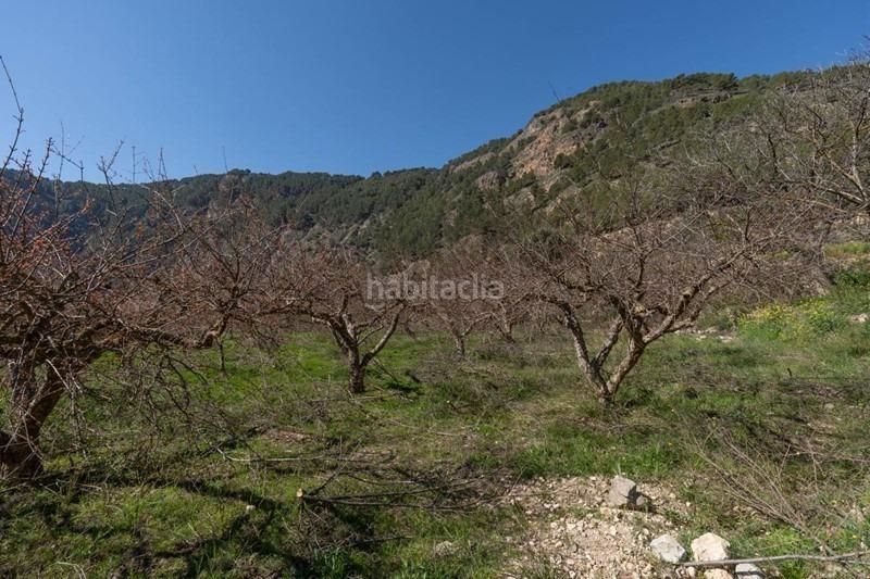 Foto d55e09ed-7987-48a3-a332-1bba536ab1a7. Finca rústica a Villamena
