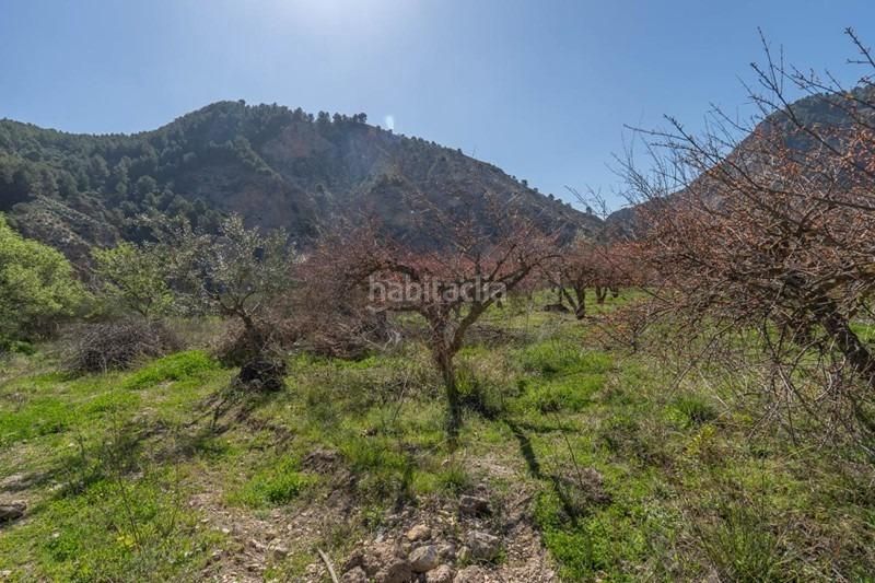 Foto e194c614-9783-43f1-921c-b4f401a1a29a. Finca rústica a Villamena