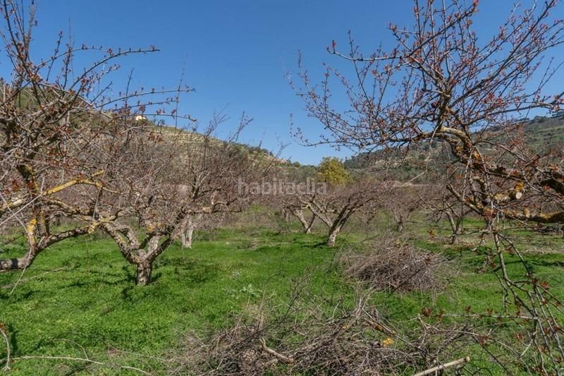 Foto f26a5c9a-09a2-4e11-8da1-c94a307cc693. Finca rústica a Villamena