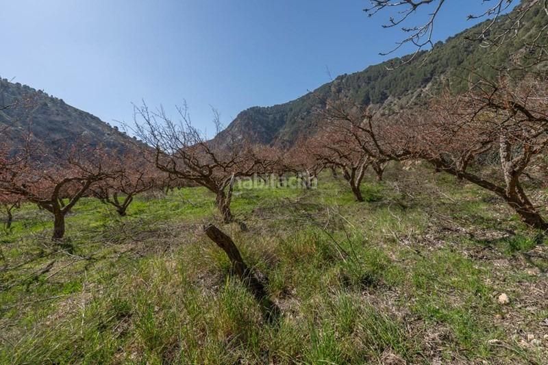 Foto fc2b5a0d-66c8-455d-b11d-ecff98497a94. Finca rústica a Villamena