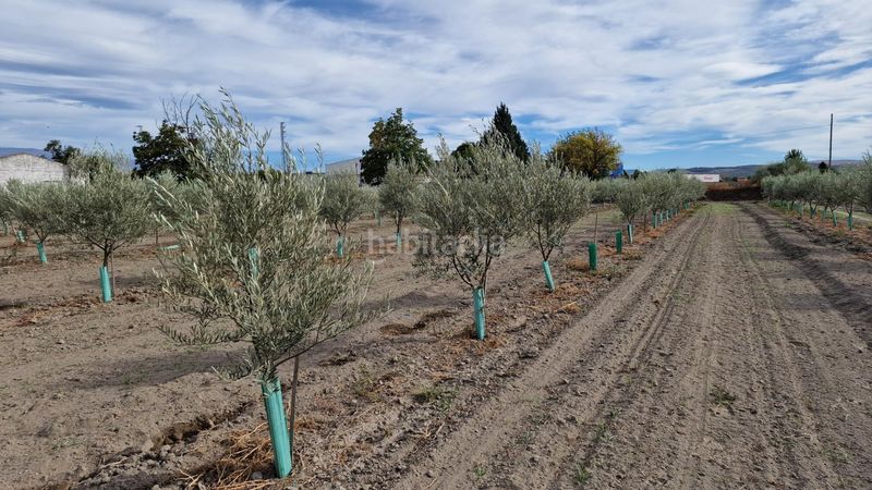 Foto 24a7a95e-f6e9-4741-9a1a-0bedd3530056. Finca rústica a ctra Santa Fe a el jau a Santa Fe