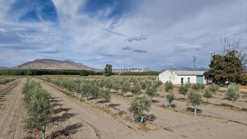 Foto 577e4816-a645-4323-b153-8fcf9b9f7482. Finca rústica a ctra Santa Fe a el jau a Santa Fe