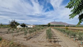 Rural plot in Ctra santa fe a el jau. Finca en la vega entre santa fe y el jau, 55 marjales