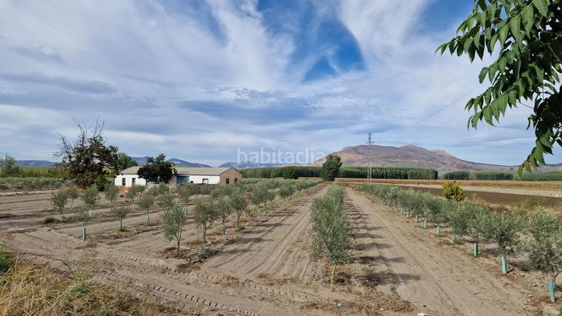 Foto a9398c2b-b0dd-474a-b9dd-a0c551f6daeb. Finca rústica a ctra Santa Fe a el jau a Santa Fe