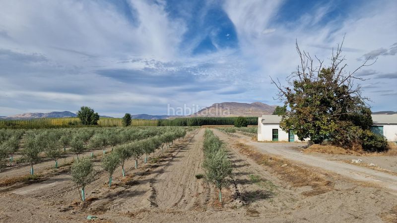 Foto b6ee3b05-1589-4634-861e-d5b212286651. Finca rústica a ctra Santa Fe a el jau a Santa Fe