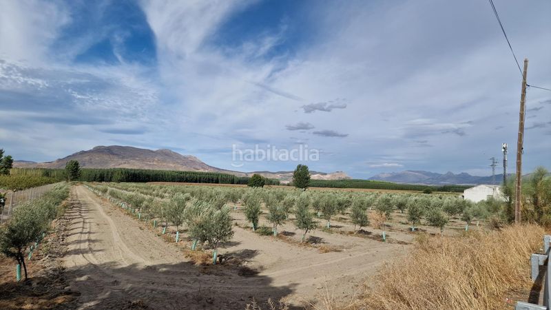 Foto bd162723-d8b1-405a-965b-dcb522953719. Finca rústica a ctra Santa Fe a el jau a Santa Fe