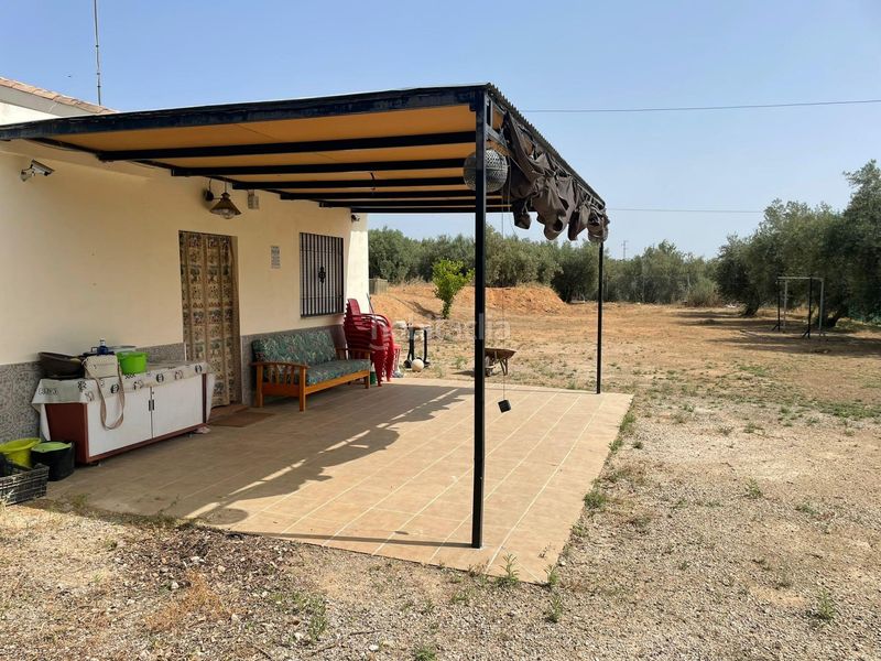 Foto 7f5683d2-271a-49e1-b9a7-d47027cd9ae9. Rural plot in Chauchina