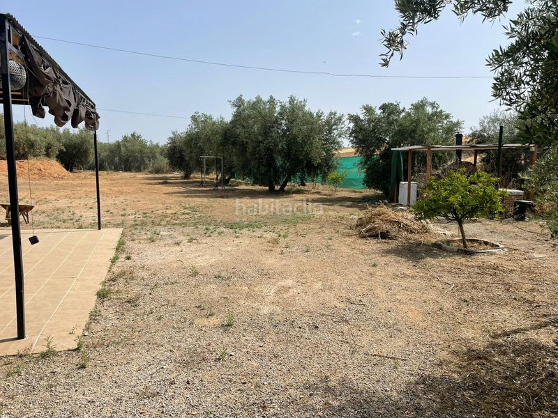 Foto b58b30c0-a2c7-4880-a051-2795b38a1a27. Rural plot in Chauchina