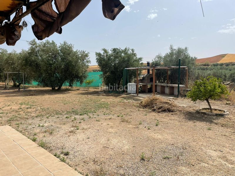 Foto c953b1d9-822e-4b17-8519-8b923d07b230. Rural plot in Chauchina