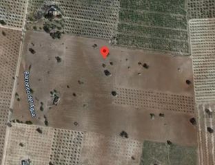 Finca rústica  Los ulagares. Exclusiva finca rústica en salar  18 fanegas de tierra calma con