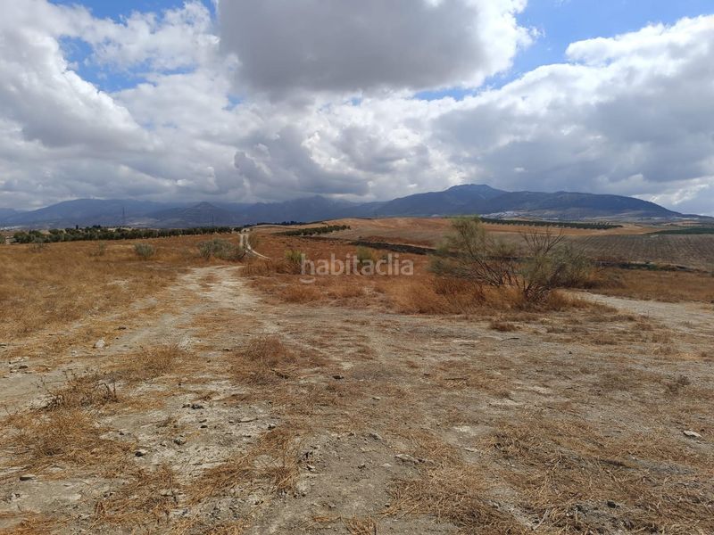 Foto 28e69171-f619-4e40-94b5-ca13b45c1aa6. Finca rústica a Villa de Otura