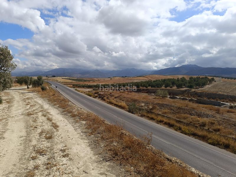 Foto 48f48786-7279-460e-8025-32d52a210db8. Finca rústica a Villa de Otura