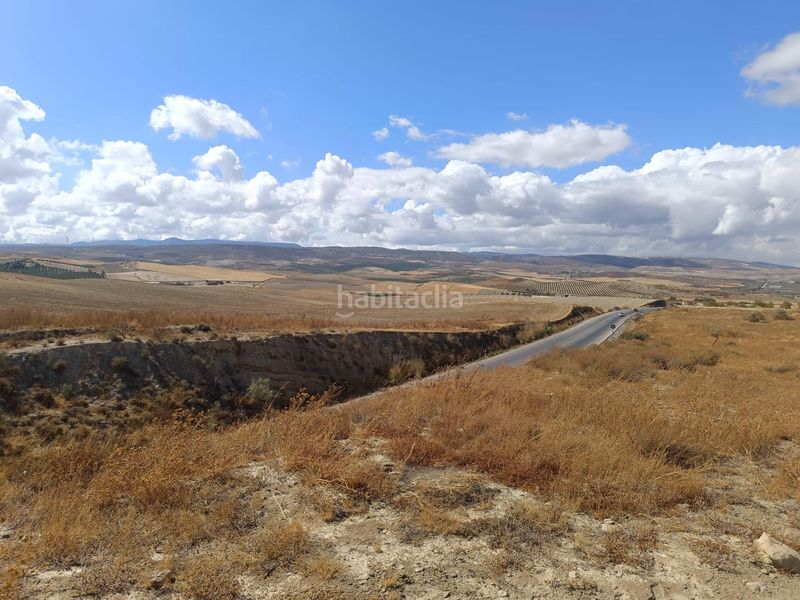 Foto 6a757242-c627-4e2a-b82d-d76f901f0fc4. Finca rústica a Villa de Otura