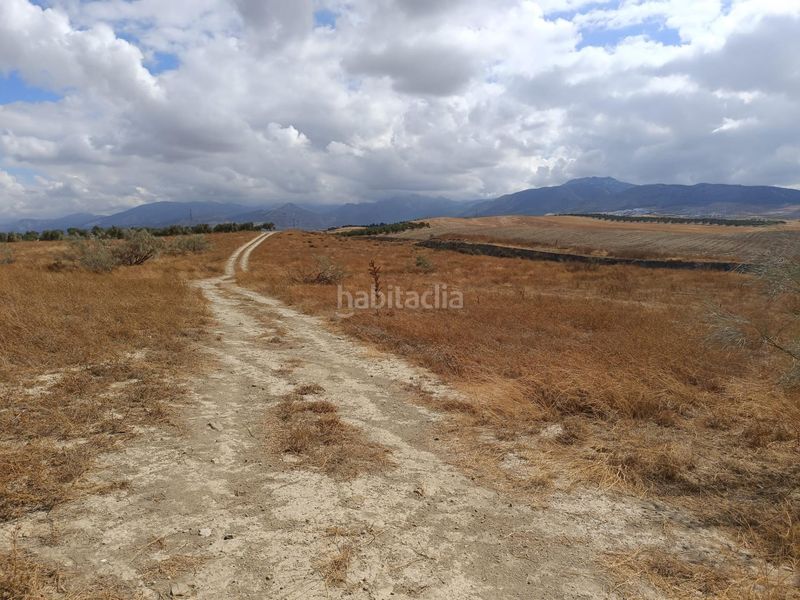 Foto f36fe6c6-d029-4d7b-ace6-de1b99b89e06. Finca rústica a Villa de Otura