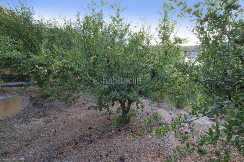 Foto 4a9e868b-0815-4202-9b1a-3a55b4a4d210. Finca rústica a Villamena