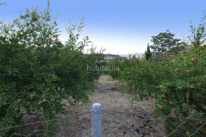 Foto e72225a9-871e-4b88-960e-9e4a34505d02. Finca rústica a Villamena