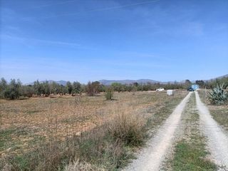 Landgut  Polígono la zanja. Finca rústica en venta en albolote, granada