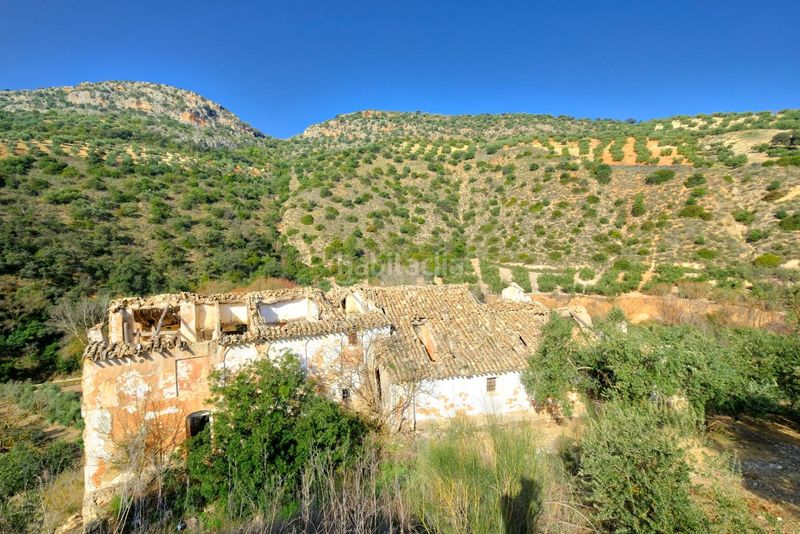 Foto 48be1b60-c1dc-42b5-8857-9aa43bd71ba7. Finca rústica a Algarinejo