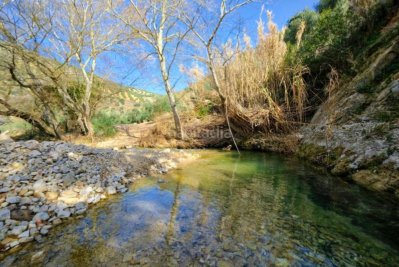 Foto 937dd2e7-cfe5-4d78-ae77-1bd5cd3ec715. Finca rústica a Algarinejo