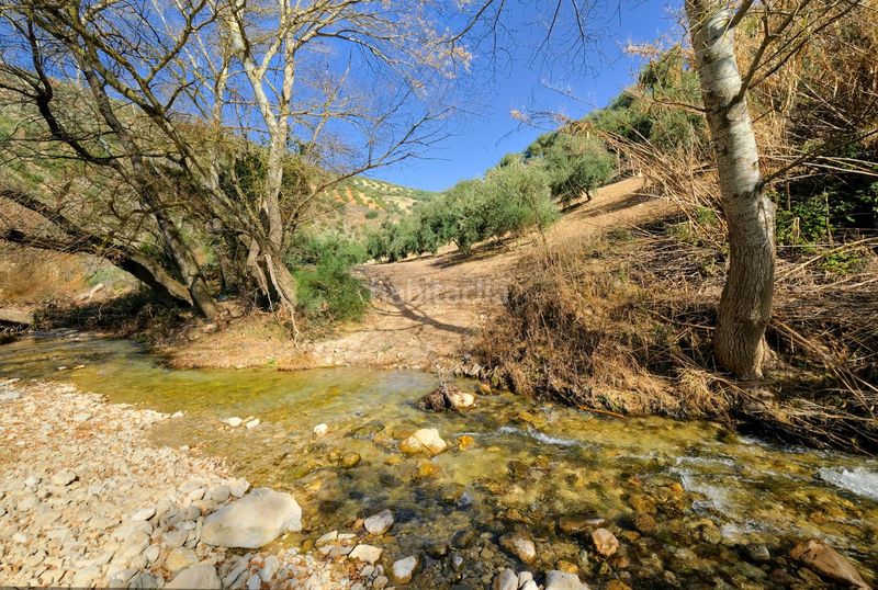 Foto 95f4bb69-d574-430c-8728-e4c6064dcd04. Finca rústica a Algarinejo