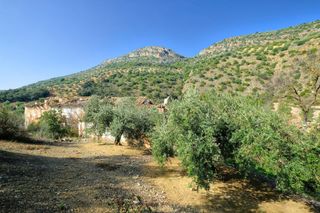 Fondo rustico in Calle quinta pesquera