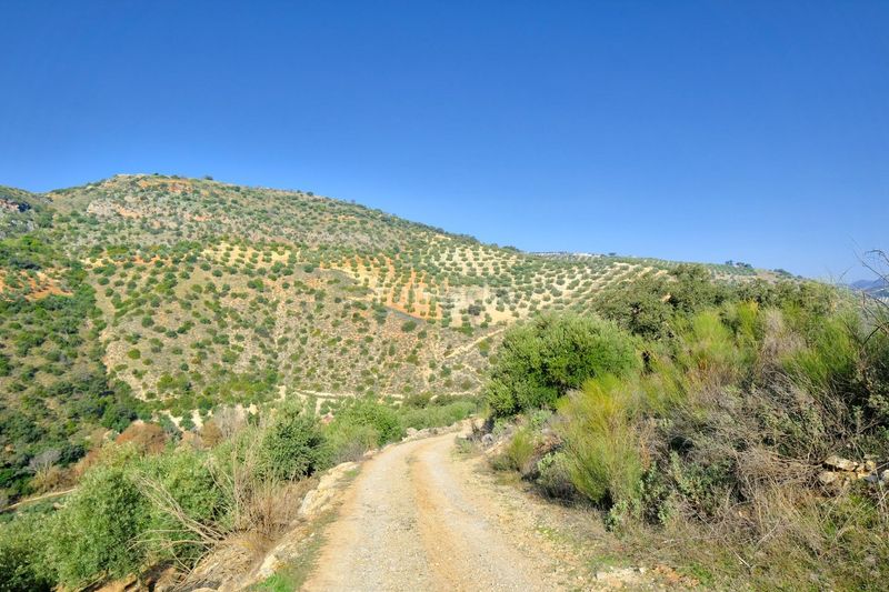 Foto e5ae1a46-df1b-4131-a74d-50fb0a0e9d18. Finca rústica a Algarinejo