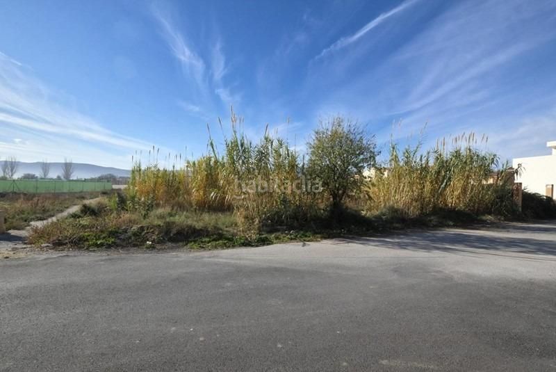 Foto c148108f-3e09-4ab7-9010-fb805ce2e8f8. Finca rústica gran parcela , granada en Padul