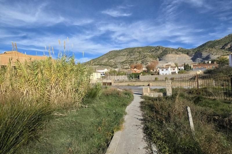 Foto f88f3114-3998-49f8-baf0-743353cd91ab. Finca rústica gran parcela , granada en Padul