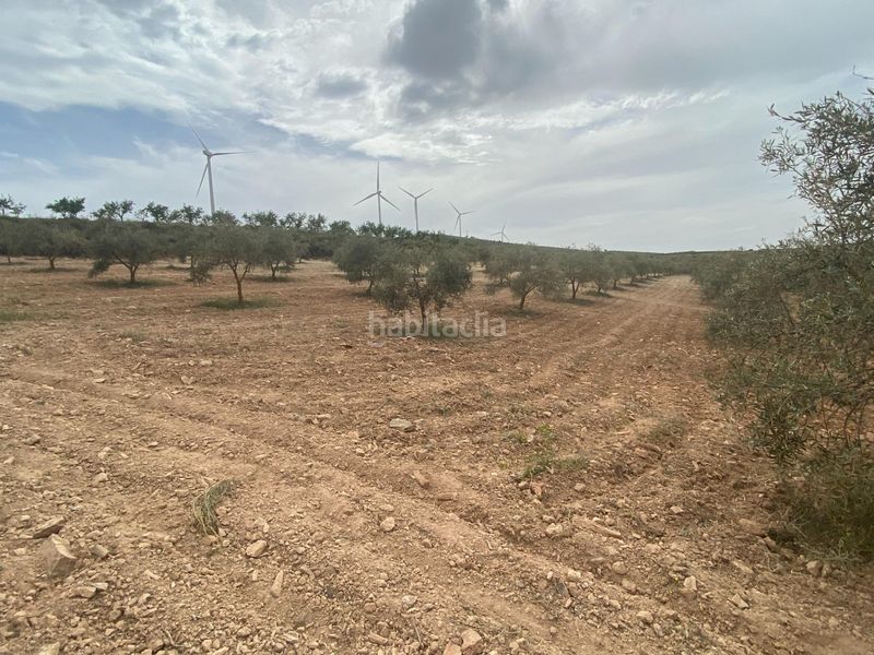 Foto 11aa69f5-1bec-4b86-add7-9842303b5806. Finca rústica finca de olivos cerca en Padul
