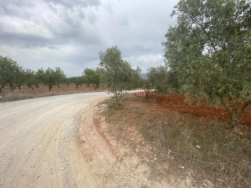 Foto 16f0e320-bc3c-47ac-b3ee-caa319c0f734. Finca rústica finca de olivos cerca en Padul