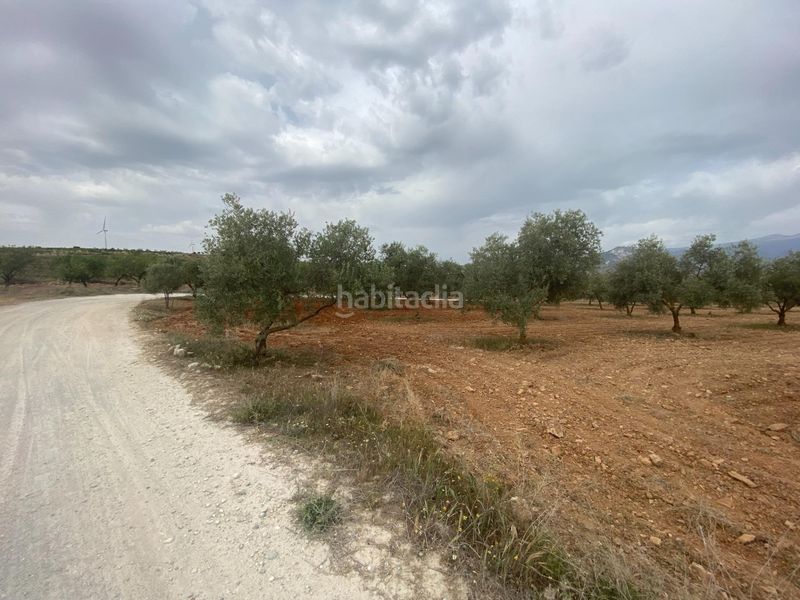 Foto 4de331c6-f75f-4759-bbe6-4e30cbb5067a. Finca rústica finca de olivos cerca en Padul