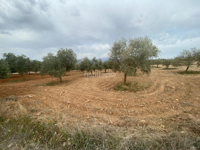 Foto 4ec0ee70-6396-4ef6-b894-fa68a7136df1. Finca rústica finca de olivos cerca en Padul