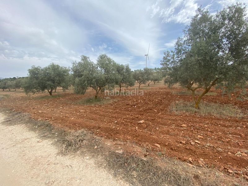 Foto 6268036d-9fd1-4749-9463-16648fe4d0bd. Finca rústica finca de olivos cerca en Padul